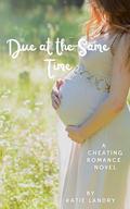 Due At The Same Time: A Cheating Romance Novel by Katie Landry