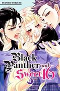 Black Panther and Sweet 16, Vol. 5 (黒豹と16歳 [Kurohyou to 16-sai] #5) by Pedoro Toriumi