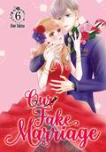 Our Fake Marriage, Vol. 6 (ウソ婚 [Usokon] #6) by Kiwi Tokina