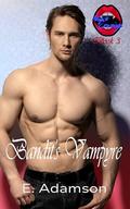 Bandit's Vampyre: Night Cravings, Book 3 by E. Adamson