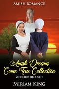 Amish Dreams Come True Collection by Miriam King