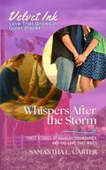 Whispers After the Storm: Three Stories of Bravery, Boundaries, and the Love That Waits (Velvet Ink: Love That Grows in Quiet Places #10) by Samantha L Carter