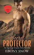 Secret Protector (Promises From The Heart #5) by Ebony Snow