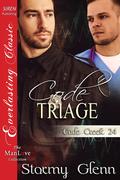 Code Triage [Cade Creek 24] (Cade Creek #24) by Stormy Glenn
