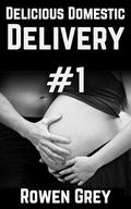 Delicious Domestic Delivery #1 by Rowen Grey