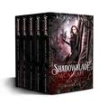 Shadowblade Academy: Complete Series Box Set by K.C. Kingmaker
