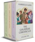 The Galamere Chronicles: Volume One: A Cozy Fantasy Fairy Tale Series by Gabrielle Landi