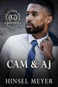 Cam & AJ (Gomillion High Reunion ) (Gomillion High Reunion #9) by Hinsel Meyer