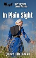 In Plain Sight (Quilted Hills #1) by Bev Haynes