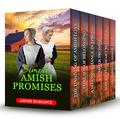 Simple Amish Promises: 6 Book Boxset by Ruth Troyer