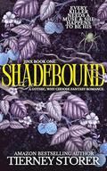 Shadebound: A Dark Academia, Enemies To Lovers, Slow Burn Romance, Fantasy Academy Series (Dark Fantasy #1) by Tierney Storer