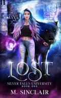 Lost by M. Sinclair