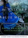 The Witches of the Blue Well by Paula Brackston