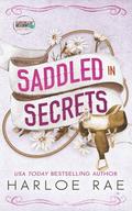 Saddled in Secrets: A Grumpy Bodyguard Small Town Standalone Romance by Harloe Rae