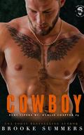 Cowboy (Fury Vipers MC: Dublin Chapter #4) by Brooke Summers