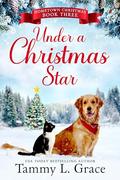 Under a Christmas Star (Hometown Christmas #3) by Tammy L. Grace