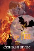 Sky on Fire (Mages & Dragons #6) by Catherine Lievens
