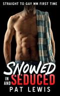 Snowed in and Seduced: Straight to Gay MM First Time by Pat Lewis