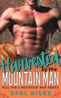 Harvested By The Mountain Man: Fall For A Mountain Man (Fall for a Mountain Man #3) by Opal Nicks