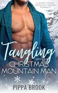 Tangling with the Christmas Mountain Man: A Short, Steamy, Instalove Holiday Romance (Mistletoe Ridge #1) by Pippa Brook