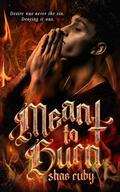 Meant to Burn by Shae Ruby