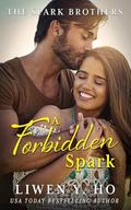 A Forbidden Spark: A Christian Contemporary Romance by Liwen Y. Ho