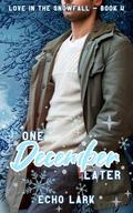 One December Later (Love in the Snowfall #5) by Echo Lark