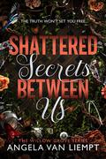 Shattered Secrets Between Us (Willow Grove #1) by Angela van Liempt