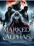 Marked By The Alphas (Owned By The Alphas #3) by Jen Cooper