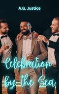 Celebration by the Sea: Three Doctors m/m/m by A.G. Justice
