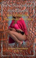 Succubus Spellbook Act 3 Collection: Succubus in Service by JD Wilcox