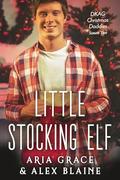Little Stocking Elf: M/M Daddy Kink Christmas Romance by Aria Grace