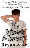 Bryan and Ari: The Intimate Moments: A Spicy MM Short by Bella Liddell