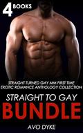 Straight to Gay Bundle: Straight turned Gay MM First Time Erotic Romance Anthology Collection by Avo Dyke