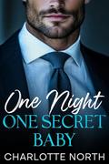 One Night, One Secret Baby: An Enemies To Lovers Fake Relationship Romance by Charlotte North