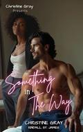 Something In The Way: Age Gap, Forbidden, Force Proximity BWWM Romance by Christine Gray