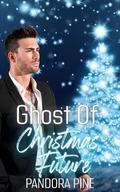 Ghost of Christmas Future (Haunted Souls #26) by Pandora Pine