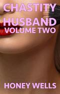 Chastity Husband, Volume Two: Caged And Sissified (Chastity Husband: Sissified Cuck #2) by Honey Wells