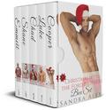 Christmas With The Ford Brothers Box Set by Sandra Alex