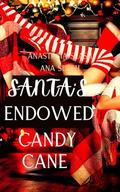 Santa's Endowed Candy Cane : An Age Gap Romance (TRILLIONAIRE OLDER MAN YOUNGER WOMAN ROMANCE #83) by Anastasia Slash