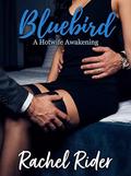 Bluebird: A Hotwife Awakening (The Hotwife Life #1) by Rachel Rider