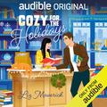 Cozy for the Holidays by Andrew Eiden