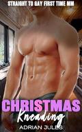 Christmas Kneading: A Straight to Gay First Time MM (Christmas Desires #5) by Adrian Jules
