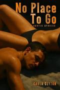 No Place To Go - Erotic Stories: Ten Erotic Encounters with Consequences (Short Stories #25) by Carla Clyton
