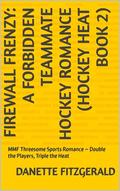 Firewall Frenzy by Danette Fitzgerald