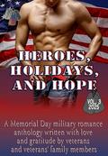 Heroes, Holidays, and Hope, Vol. 3 (Heroes, Holidays, and Hope #3) by D.C. Stone