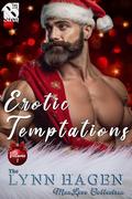 Erotic Temptations, Book 1 by Lynn Hagen
