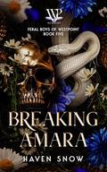 Breaking Amara by Haven Snow