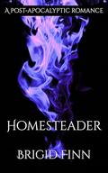 Homesteader (After Dark #2) by Brigid Finn