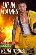 Up in Flames (Center City First Responders #7) by Reina Torres